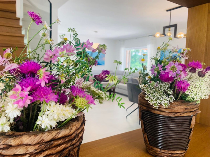 Eksterijer, House Andrija&scaron;i s grijanim bazenom i ko&scaron;arka&scaron;kim terenom, Žminj, Istra Domijanići