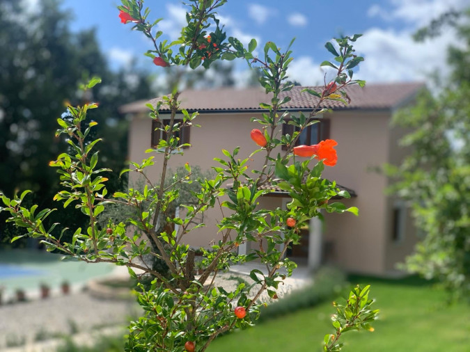 Exterior, House Andrija&scaron;i with heated pool and basketball court, Žminj, Istria, Croatia Domijanići