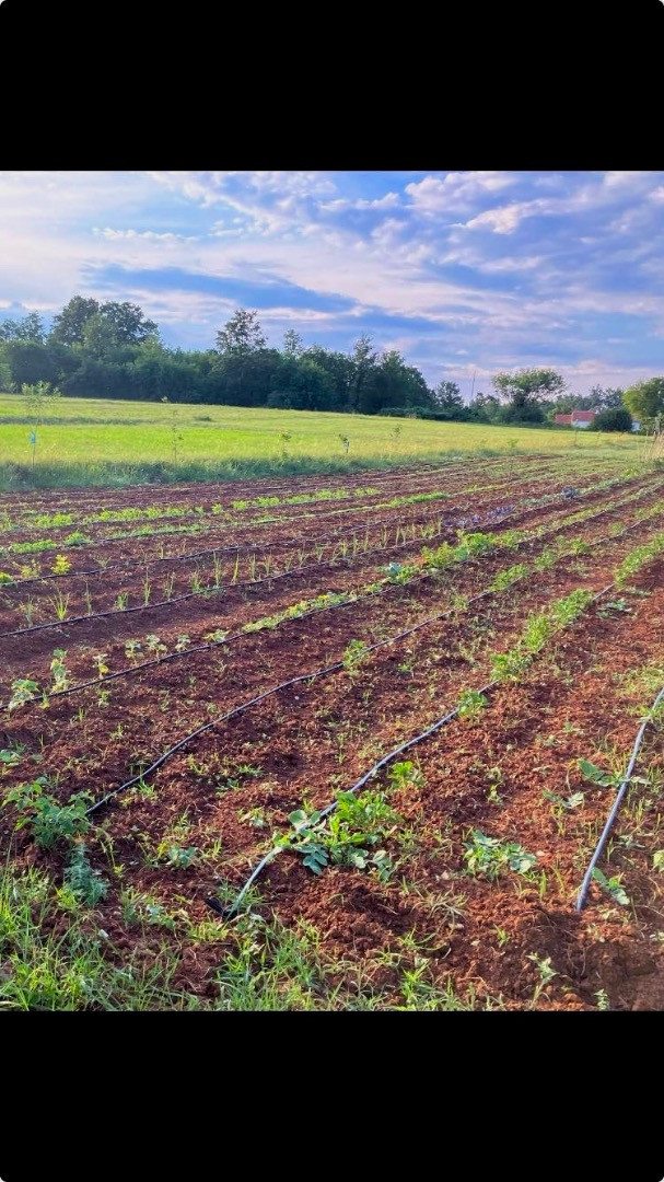 Exterior, House Andrija&scaron;i with heated pool and basketball court, Žminj, Istria, Croatia Domijanići